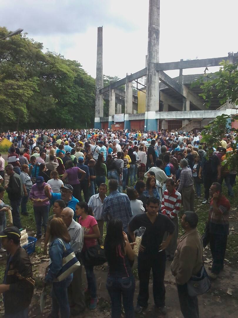 Palo Gordo 5